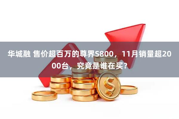 华城融 售价超百万的尊界S800，11月销量超2000台，究竟是谁在买？