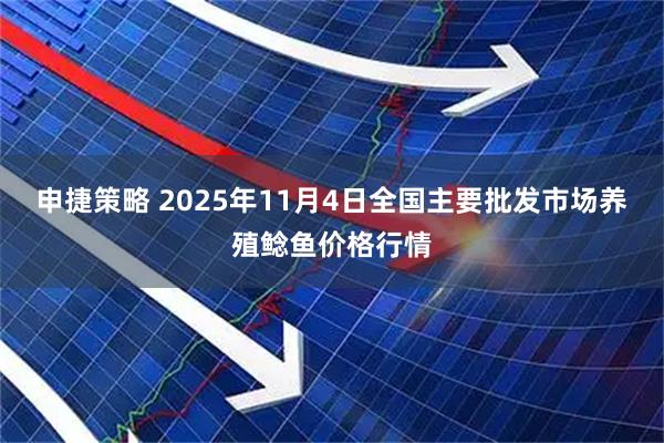 申捷策略 2025年11月4日全国主要批发市场养殖鲶鱼价格行情
