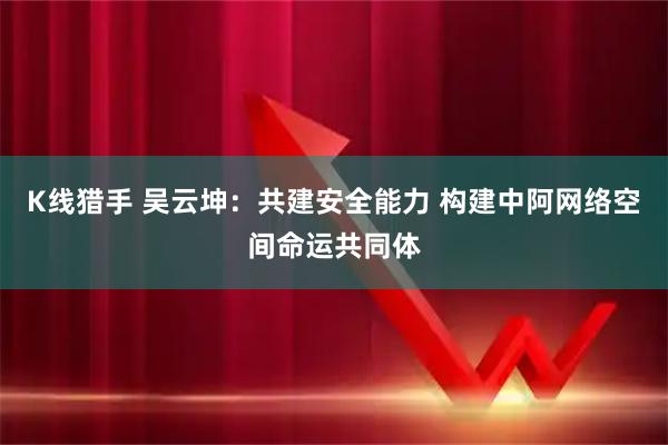 K线猎手 吴云坤：共建安全能力 构建中阿网络空间命运共同体