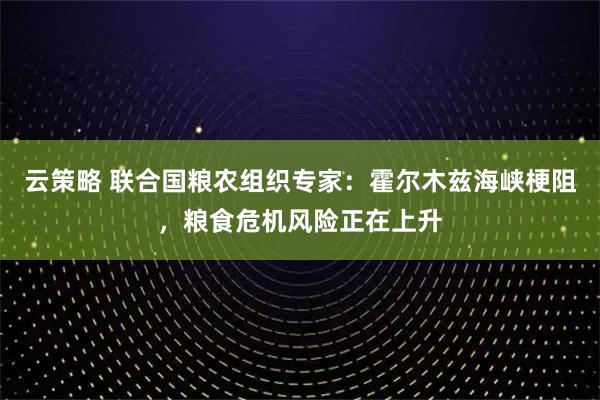 云策略 联合国粮农组织专家：霍尔木兹海峡梗阻，粮食危机风险正在上升